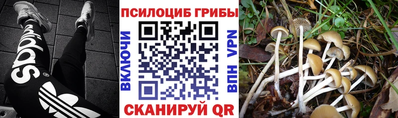 Галлюциногенные грибы ЛСД  наркотики  Новодвинск 