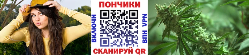 Марихуана ГИДРОПОН  МЕГА ССЫЛКА  Новодвинск 